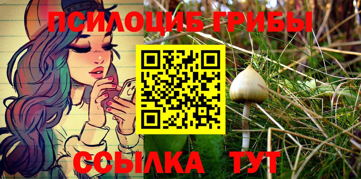Псилоцибиновые грибы Psilocybine cubensis Лабинск