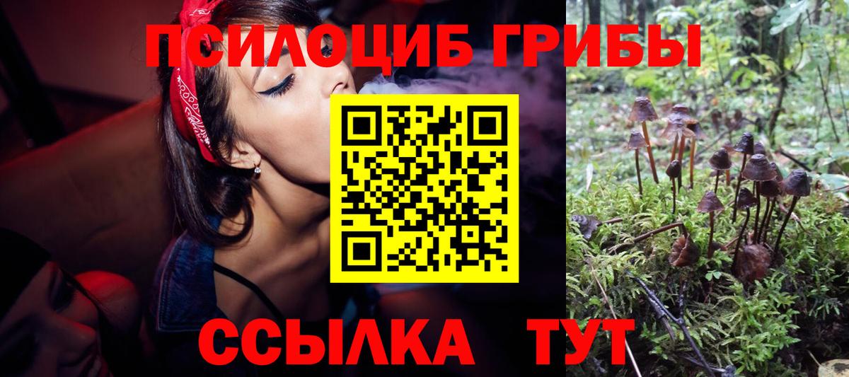 Лабинск  Галлюциногенные грибы MAGIC MUSHROOMS  Псилоцибиновые грибы ЛСД  Вход с VPN 